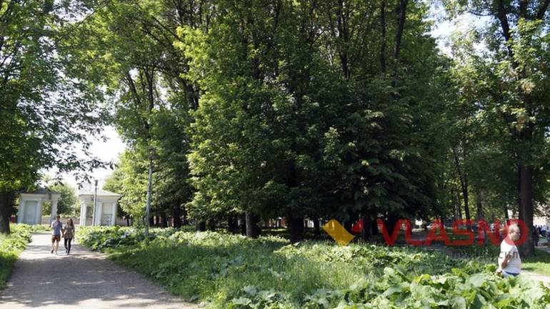 Архітекторів запрошують долучитись до створення парку &laquo;Хімік&raquo; у Вінниці