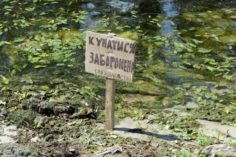 купатися заборонено фото