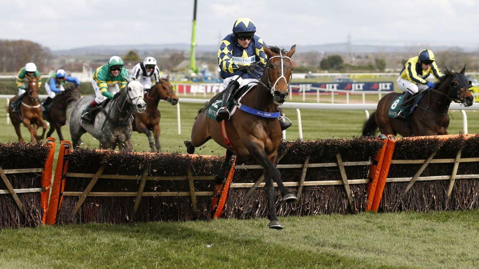 Під Вінницею проведуть четверті обласні кінні перегони