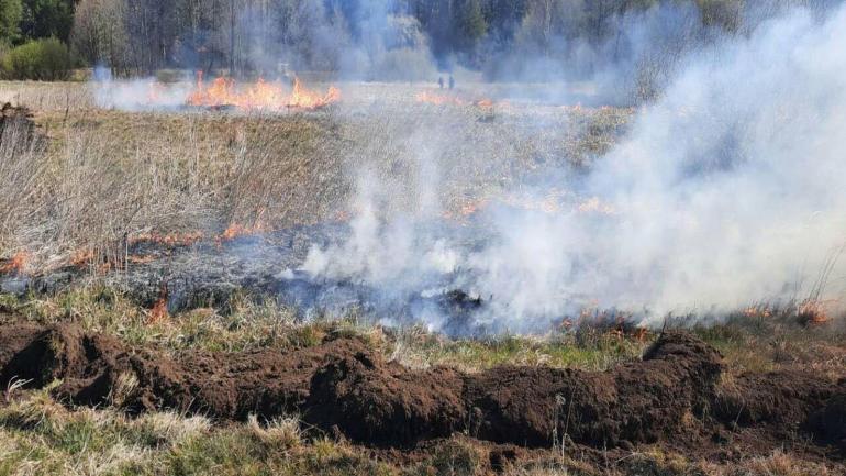 За добу на Вінниччині згоріли 9 га сухої рослинності