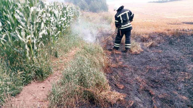 На Вінниччині згорів гектар сухої трави