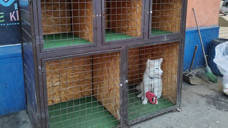 Біля вінницького супермаркету встановили двоповерхову комірку для тварин