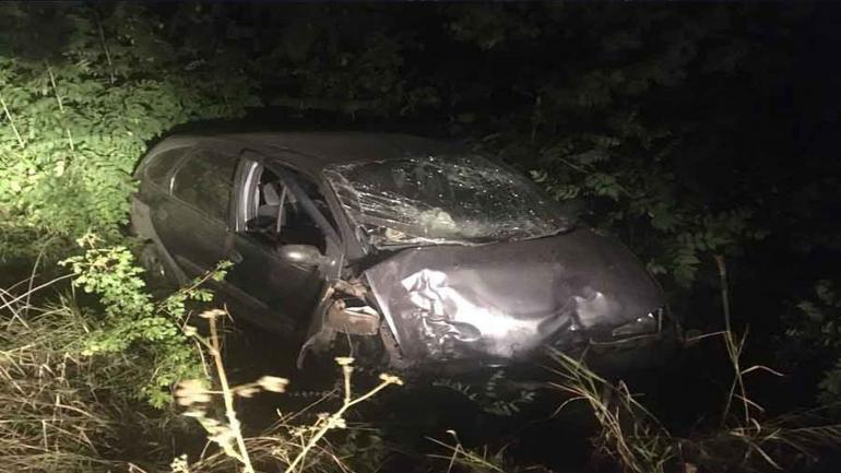 На Вінниччині п'яний водій влетів в дерево