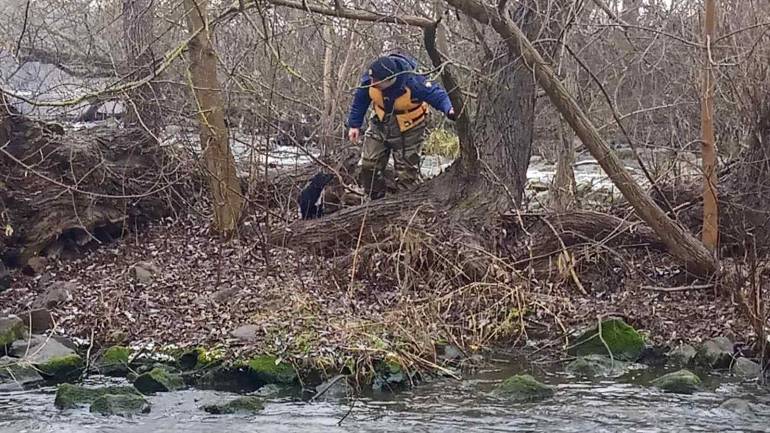 Вінницькі рятувальники дістали пса з острова