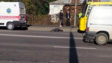 Маршрутка з пасажирами збила вінничанина, який переходив дорогу в невстановленому місці