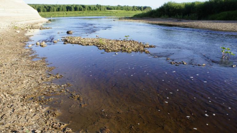 В Україні можуть обмежити використання води