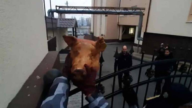 Активісти наштрикнули на ворота &laquo;Вінницяобленерго&raquo; голову свині (ВІДЕО)