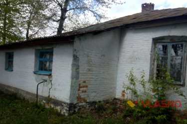 будинок Миколи Леонтовича у Шершнях фото