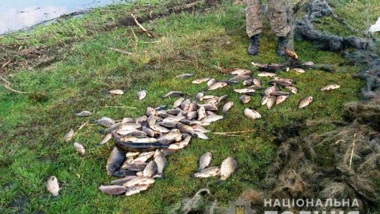 На Вінниччині майже дві сотні рибалок незаконно ловили рибу