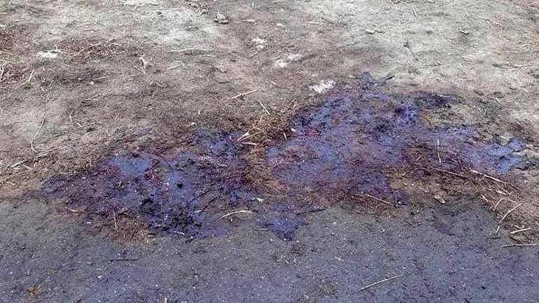 Кров та шкіра: в селі на Вінниччині посеред дороги забивали свиней (ФОТО)