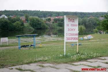 громадські ініціативи фото