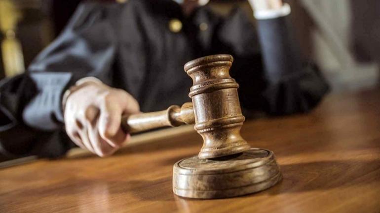 За незаконну вирубку 27 дерев чоловік відповідатиме у суді