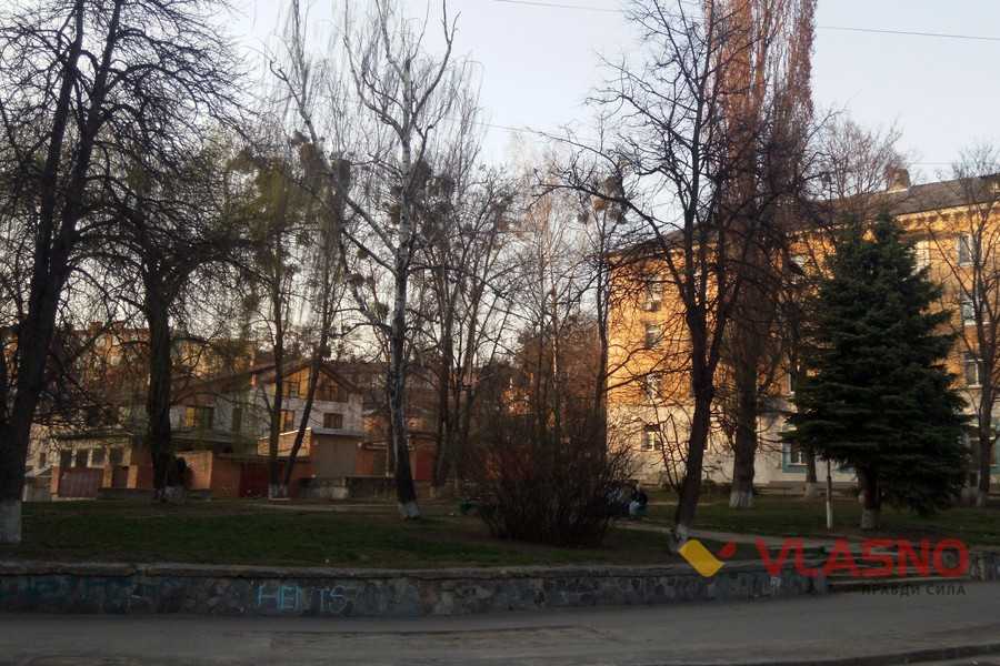 Альтман-сквер у Вінниці фото