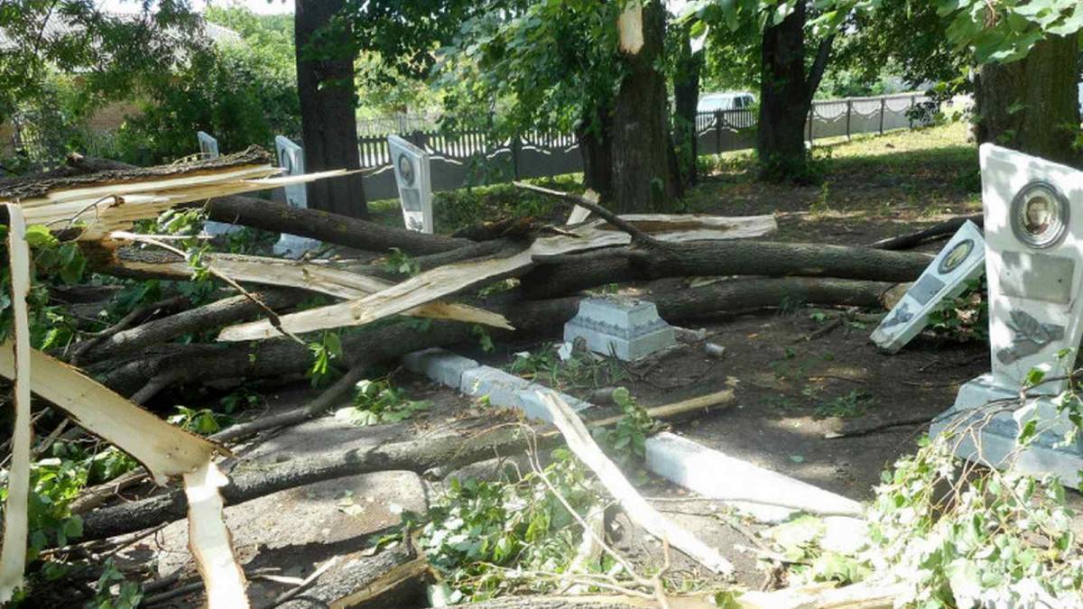 У селі на Вінниччині буревій повалив дерева і пам&rsquo;ятники