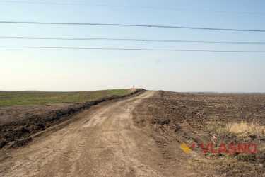 кургани у селі Тростянчик фото