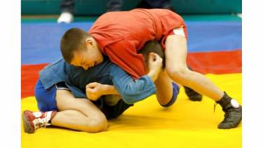 чемпіонат з самбо у вінниці фото