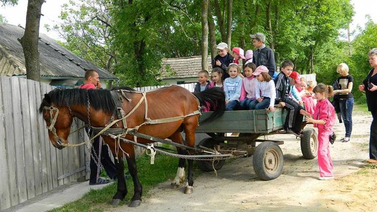 Мінімум п'ять, максимум вісімнадцять: у селі на Рівненщині понад 600 багатодітних родин