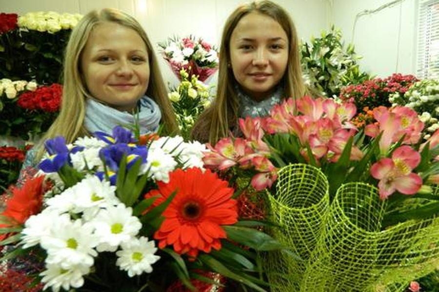 День вчителя фото