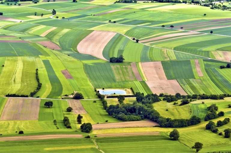 земельні ділянки фото