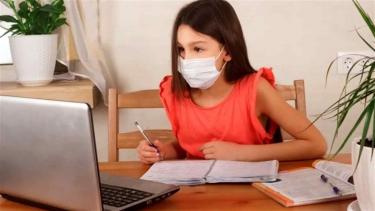 Школярі Жмеринського та Вінницького районів навчаються дистанційно, у Тульчинському продовжили канікули