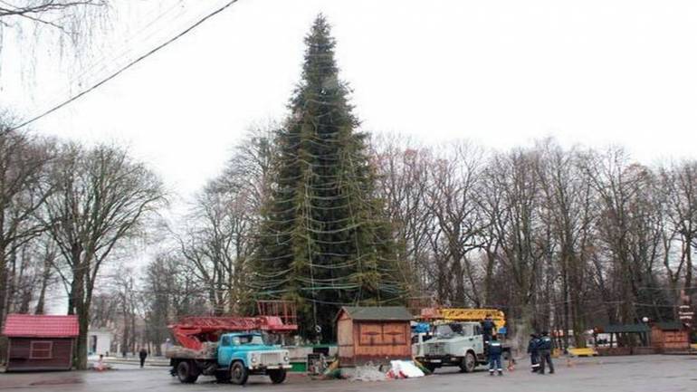 У Вінниці почали встановлювати головну новорічну ялинку