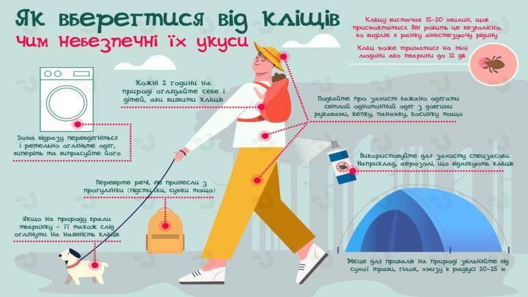 Як вберегтися від кліщів: застереження та поради