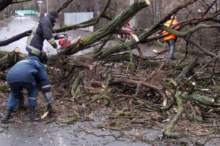 На Вінниччині шквальний вітер валив дерева