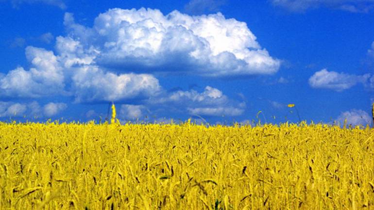 Скільки днів відпочиватимуть українці у серпні
