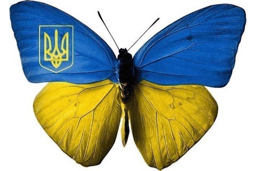 українське взуття фото