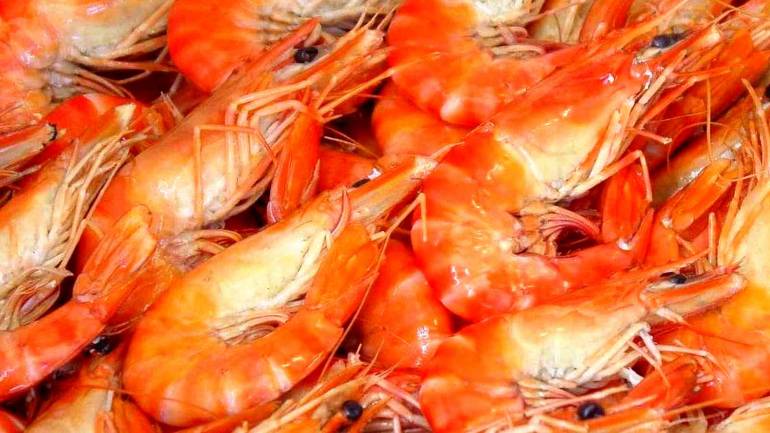 Королівські креветки вирощують на Вінниччині