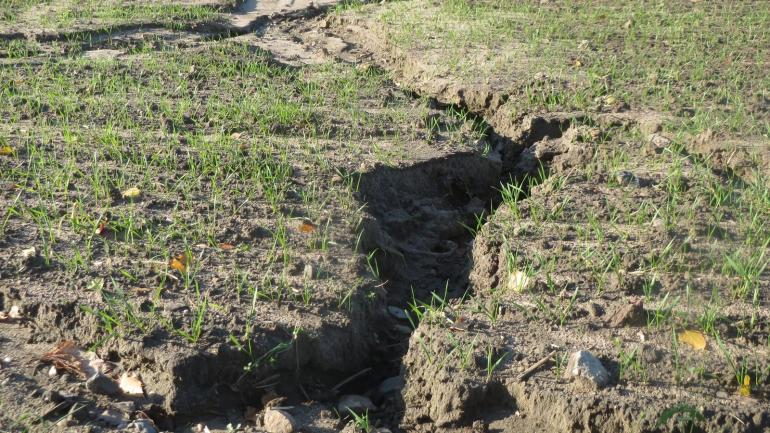 Ерозія грунтів забирає в українських аграріїв третину прибутку
