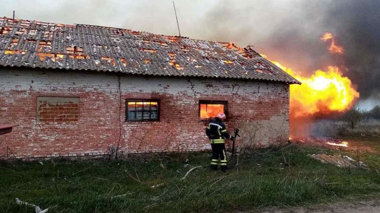 В селі на Вінниччині горіли свині