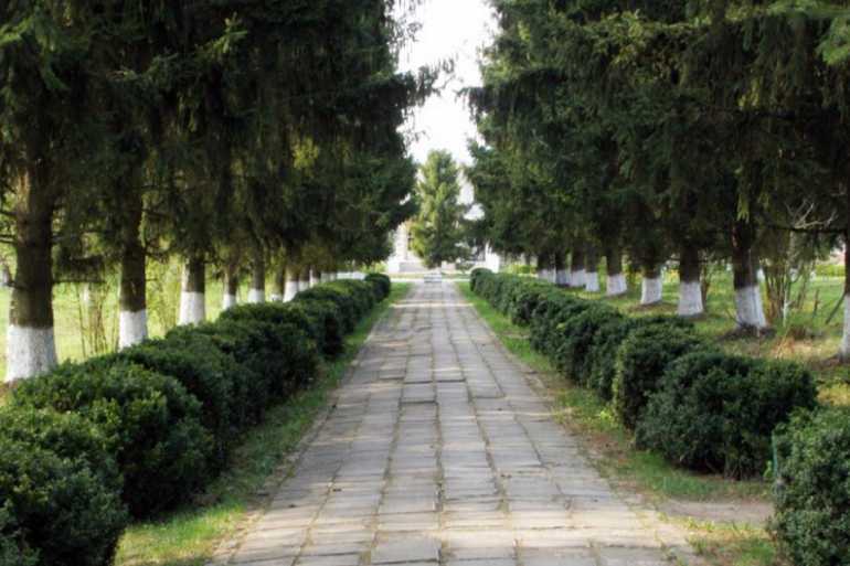 парк Северинівка фото