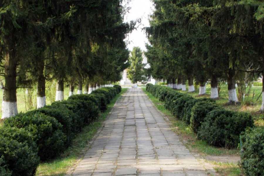 парк Северинівка фото