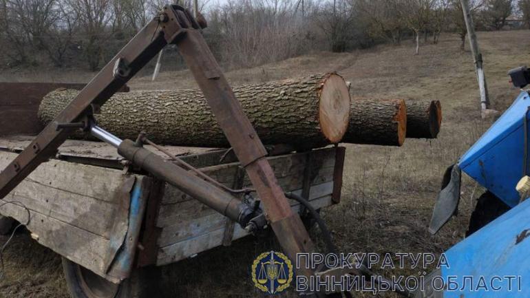 Керівник лісового господарства на Вінниччині вирубав дерев на понад мільйон гривень