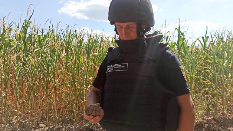 На Вінниччині знайшли і знищили гранату часів Другої світової війни