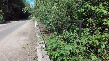 насадження фото