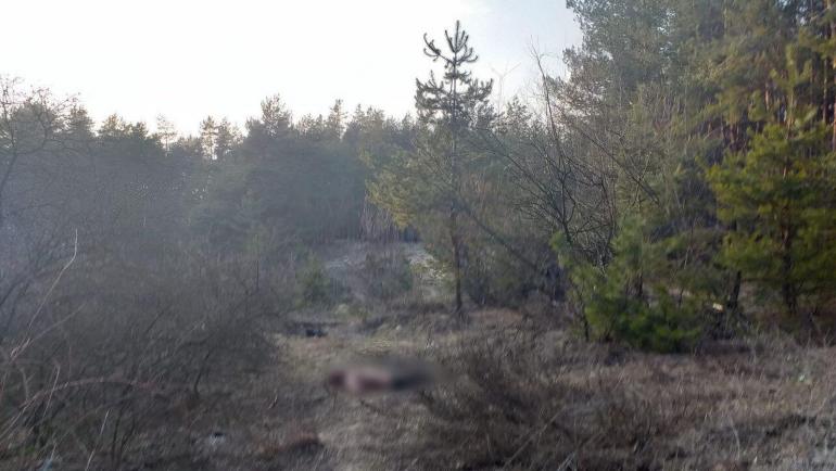 На Вінниччині молоду жінку знайшли мертвою у лісі