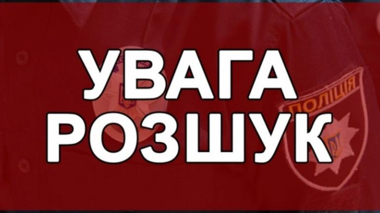На Вінниччині пенсіонерка та її собака дві доби блукали лісом