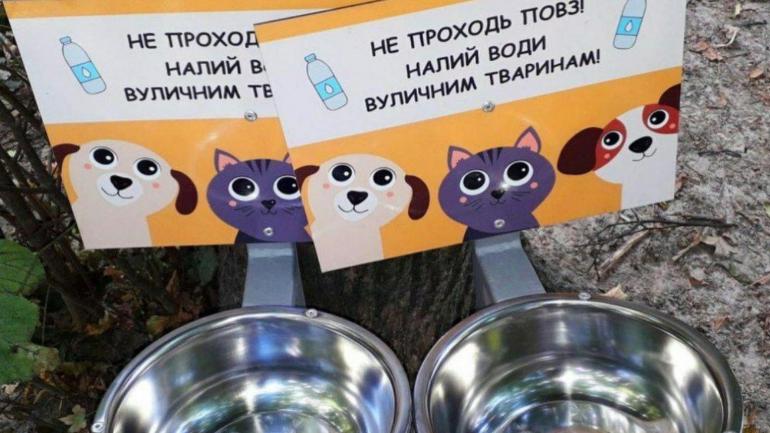 Студенти-волонтери по всій Вінниці встановлюють ємності з водою для тварині