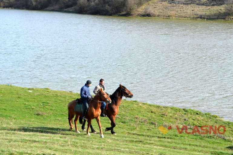 кінні екскурсії фото