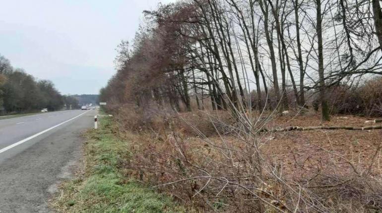 Два мільйони на землю: Служба автомобільних доріг Вінниччини виводить &laquo;в натурі&raquo; земельні ділянки