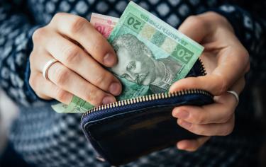 Найбільше субсидій на Вінниччині оформили в Немирівському районі