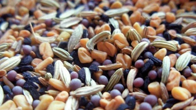 На Вінниччині виявлено виробництво контрафактної насіннєвої продукції