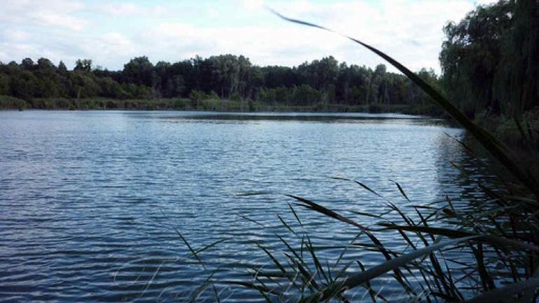 У селі Бабчинці водойму орендує комунальне підприємство