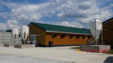 На Вінниччині відкриють сучасний свинокомплекс за 3 мільйони євро