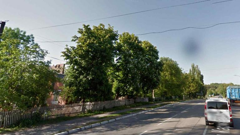 Мешканці Літина щодня наражаються на небезпеку через &laquo;аварійні&raquo; липи