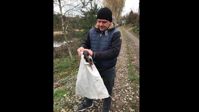 Вінницькому зоопарку передали червонокнижного чорного лелеку