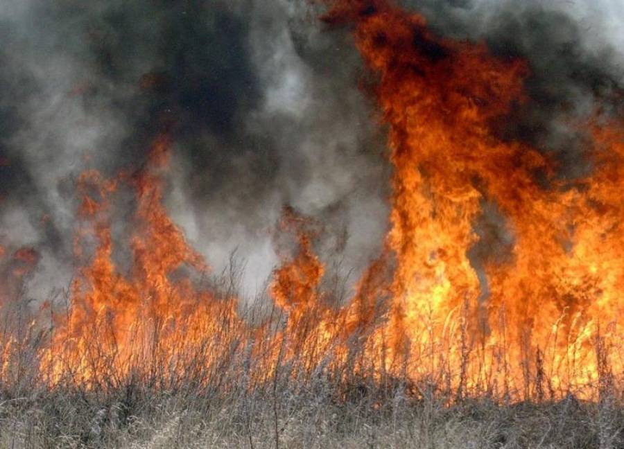 На Вінниччині пожежа охопила територію у п'ять гектарів