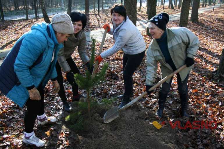 Майже тисячу молодих дерев посадив санаторій &laquo;Поділля&raquo; у парку Хмільника **